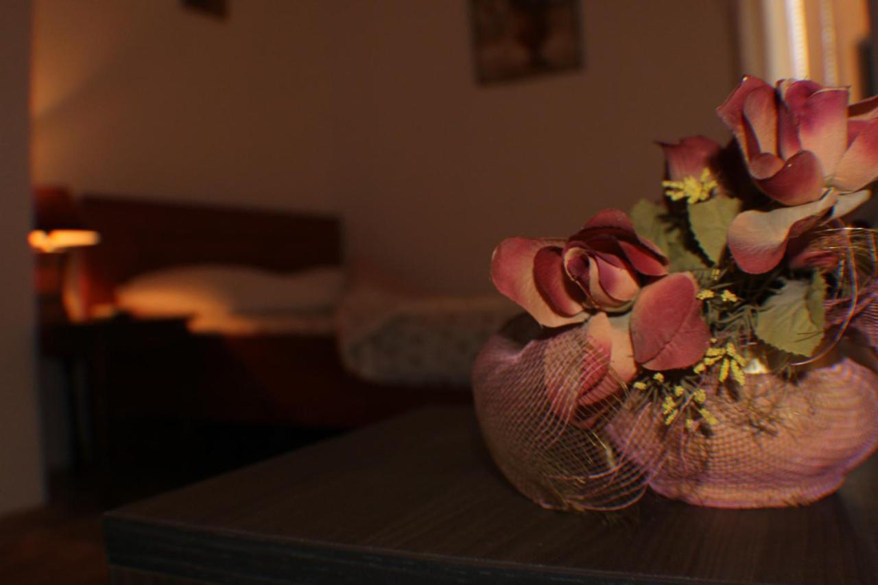 Villa Gala スコピエ エクステリア 写真